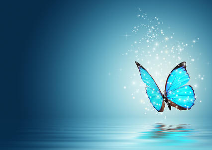 Бабочка над водой